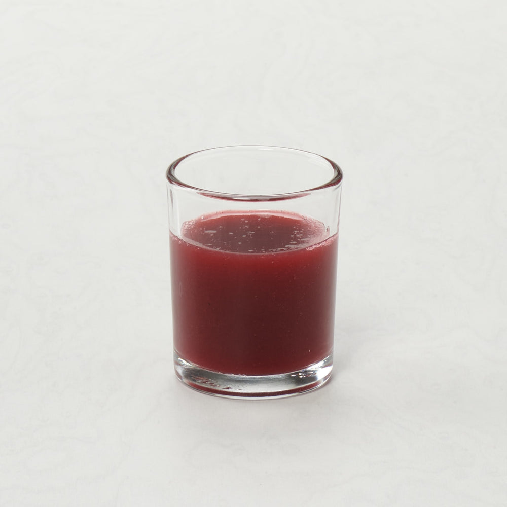 Wild Berry Frozen Beverage Mix - 12 x 32 oz