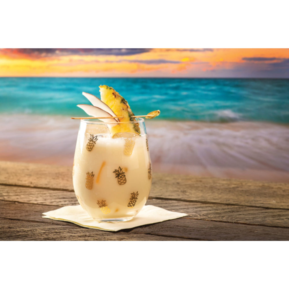 Pina Colada Fruit Puree Beverage Mix - 12 x 1 Ltr