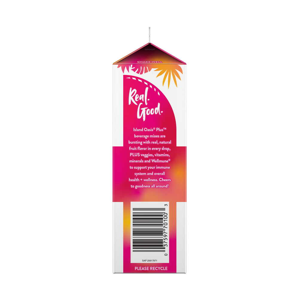 Plus Strawberry Banana Frozen Beverage Mix - 12 x 32 fl oz