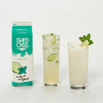 Mojito Frozen Beverage Mix - 12 x 32 oz