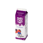 Wild Berry Frozen Beverage Mix - 12 x 32 oz