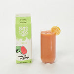 Guava Frozen Beverage Mix - 12 x 32 oz