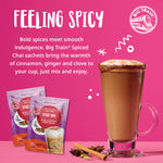 Spiced Chai Tea Latte Beverage Mix Sachet - 12 x 2.9 oz